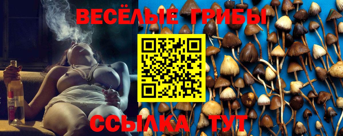 Псилоцибиновые грибы мицелий Кудымкар