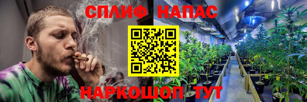 Каннабис Amnesia Кудымкар